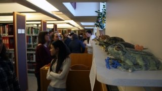 Conservation In Clay Reception