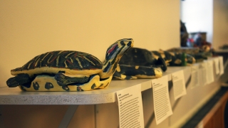 Conservation In Clay Projects