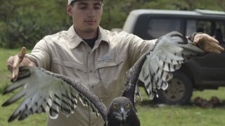 Student holding bird
