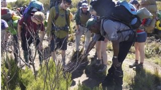 Students and faculty working in the field