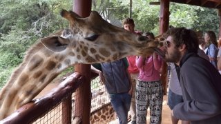 Student with giraffe