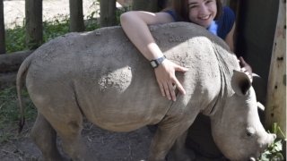 Student hugging rhinoceros