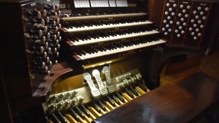 Gunnison organ