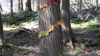 Alex Howard, “Convergence Spiral”