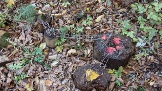 Grace Gargan, “Tiny Homes, or Bridgetown”