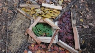 Iain Corkhill, “A Walk through Life”