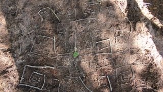 Margo Hayes, “Chaos Theory”