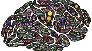 image of brain with words on it