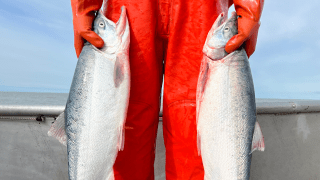 Jessica Normandeau, wearing bright red rubber waders, holds two large silver salmon while standing on a boat deck.