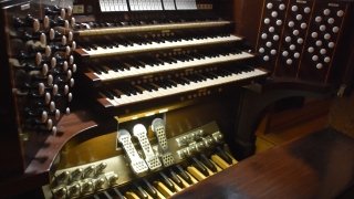 Organ Photo