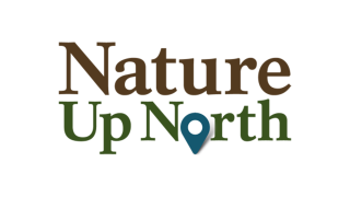 The Nature Up North logo, which consists of the word "Nature" in brown on the top line and "Up North" in green below, with the "o" in North replaced with the graphic of a pin from an online map.