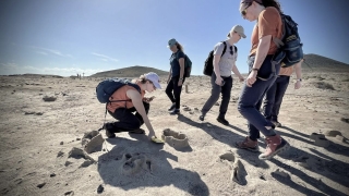 A group of four students are standing on a rock structure, one student is kneeling, observing the ground.