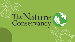 A light pea-green color serves as the background, with one quarter of a darker green circle visible in the bottom left corner. Two transparent twigs with leaves are visible in white appear from the top left and bottom right corners. At the center of the image is The Nature Conservancy's logo, consisting of stacked text with the organization's name on the left, with a green sphere with white leaves on the right.