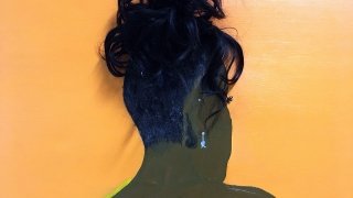 Artist: Titania McFarlane