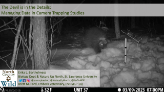 animal walking through snow at night that trail camera captured