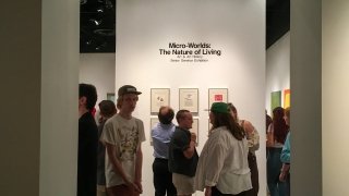 Senior Art Show Opening Reception