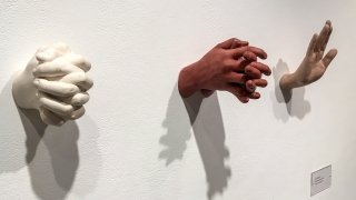 Artwork by Sarath Novas Torres