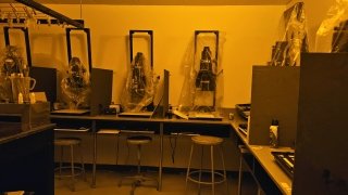 Photography Darkroom