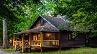 A dark brown Adirondack cabin nestled between lush green trees.
