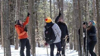 Saint Lawrence students and faculty stand in the snow in the woods and point at the sky in observation of birds.