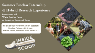 Summer Biochar Internship