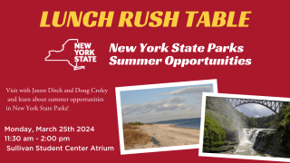 New York State Parks Summer Opportunities