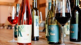 Knapp Winery in Romulus, NY