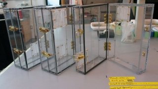 Three polycarbonate suitcases