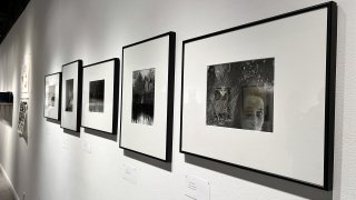 2024 Senior Seminar Exhibition