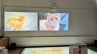 2024 Spring Senior Art Show