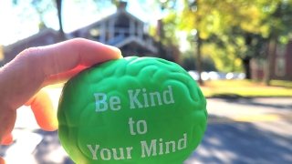 A stress ball shaped like a brain with the words Be Kind to Your Mind.