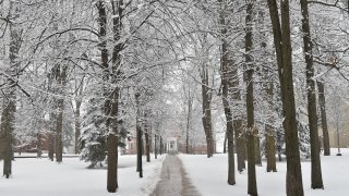 Enchanted Forest Saint Lawrence University