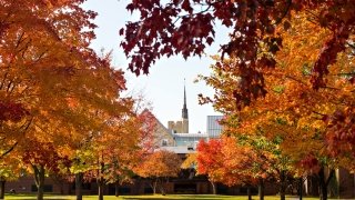 Gunnison Chapel pictured in the distance, centered between Fall trees.