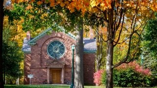 Herring Cole pictured behind trees in full bloom.