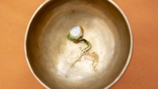 Torrance York, Untitled 6293, 2021, from Semaphore, archival pigment print