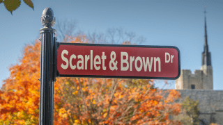 Scarlet and Brown Drive 
