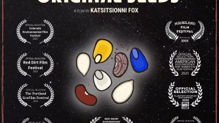 Film by artist Katsitsionni Fox