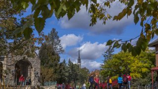 Campus in the fall