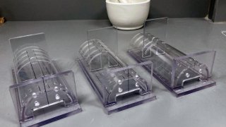 Rat restraints for vivarium