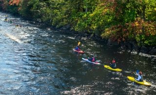 People kayaking