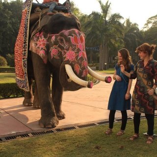 Students with an elephant