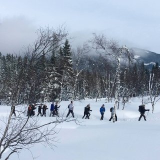 People walking in the snow