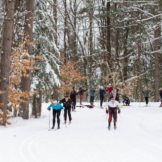 People skiing in the woods