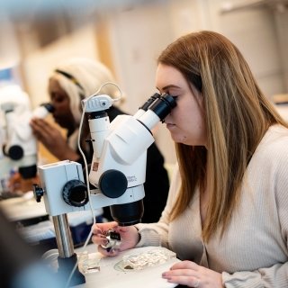 Student doing research in a lab