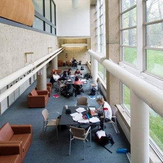 Students studying in the library