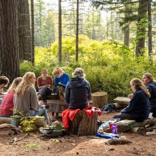 Laurentians in the woods