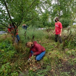 People working in a garden