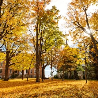Campus buildings in the fall