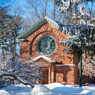 Herring-Cole in the winter