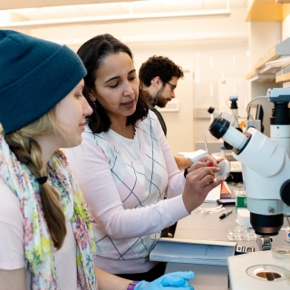 Faculty member working with student in lab